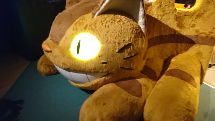 ねこバスアップ