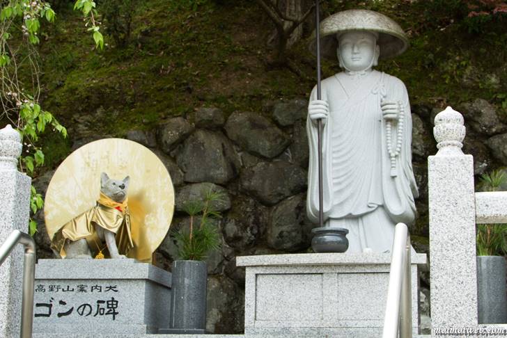 高野山案内犬ゴン