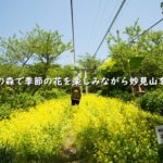 妙見の森で季節の花を楽しみながら妙見山を巡るハイキング