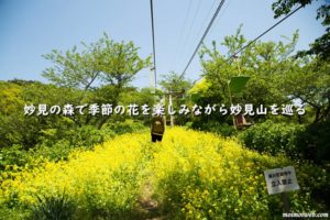 妙見の森で季節の花を楽しみながら妙見山を巡るハイキング