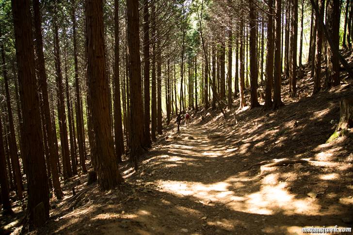 上杉尾根コース