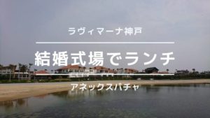 ラヴィマーナアネックスパチャ