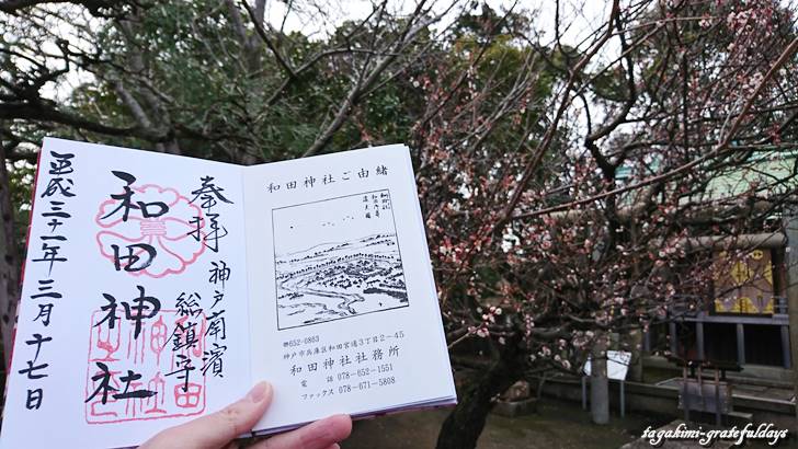 和田神社御朱印