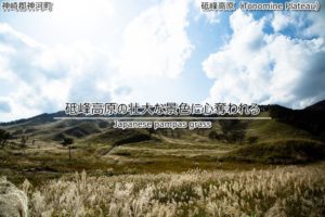 兵庫でもススキを楽しめる!砥峰高原の壮大な景色に心奪われる