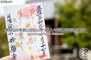 黒枝豆の季節に巡りたい!オススメの篠山城周辺の観光情報を紹介