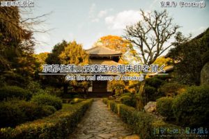 京都住蓮山安楽寺の御朱印!春と秋の一般公開は一見の価値がある